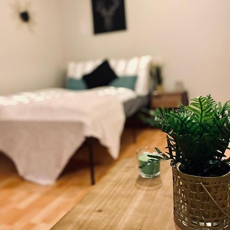 Saniertes Studio - Elisa - Mit Balkon, Wlan, Smart-Tv & Kueche In City-Naehe Erfurt Exterior foto